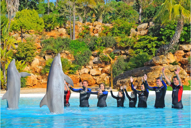 Delfines
